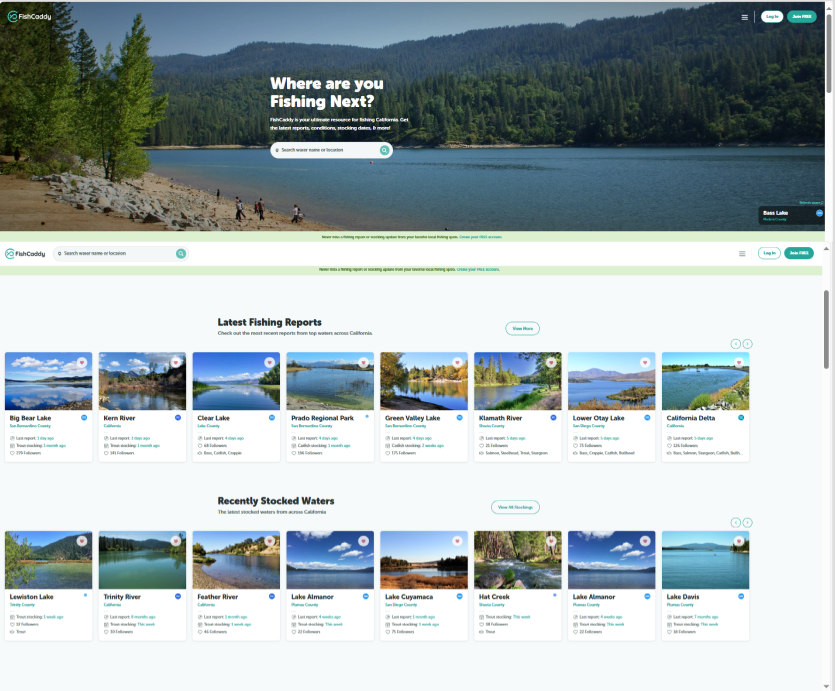 FishCaddy case study preview